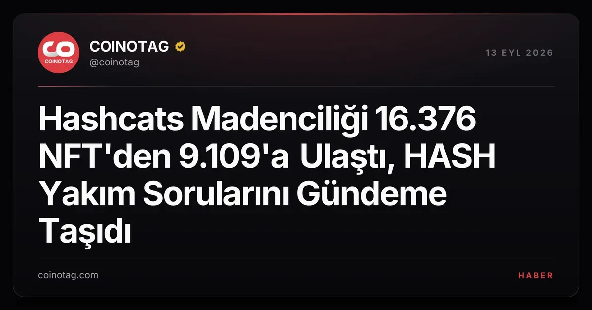 Hashcats madenciliği 16.376 NFT'den 9.109'una ulaştı, arzın %41,3'ü yakıldı