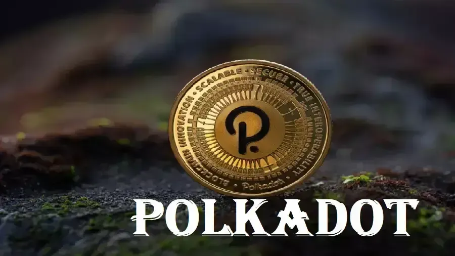 Браузерное расширение Fearless Wallet сливало приватные ключи — Polkadot Community