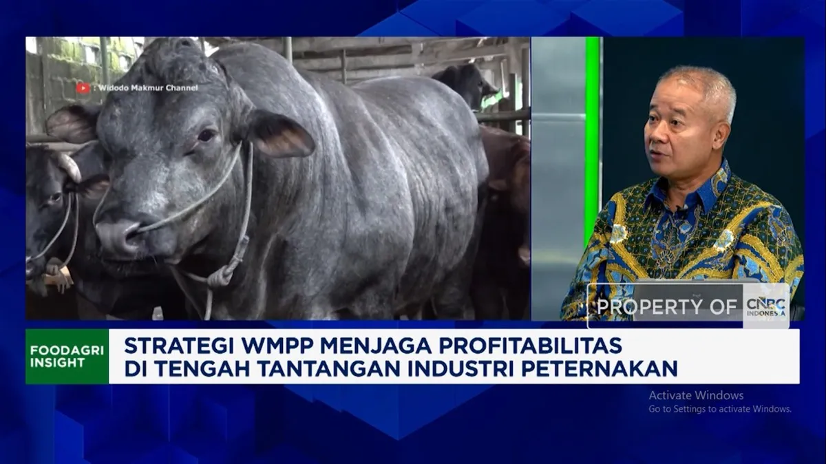 Video: Saat Biaya Produksi Naik, Ini Cara WMPP Ubah Rugi Jadi Untung