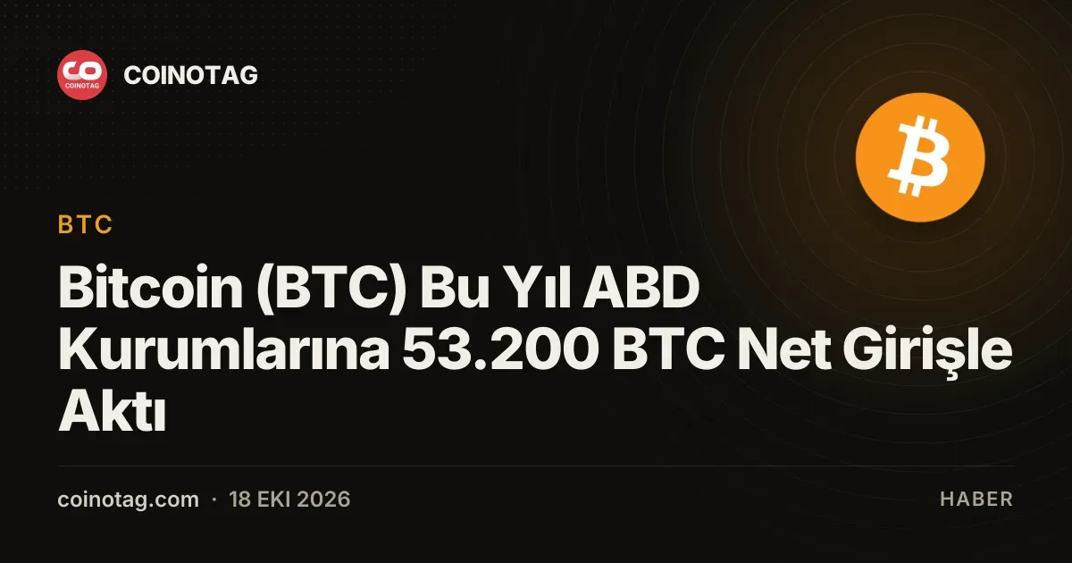 ABD kurumlarina bu yil gerceklesen net 53.200 BTC girisi zincir ustune yansidi