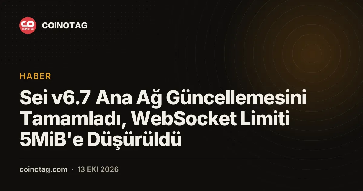 Sei v6.7 güncellemesi ile websocket yükleri 5mib sınırına çekildi