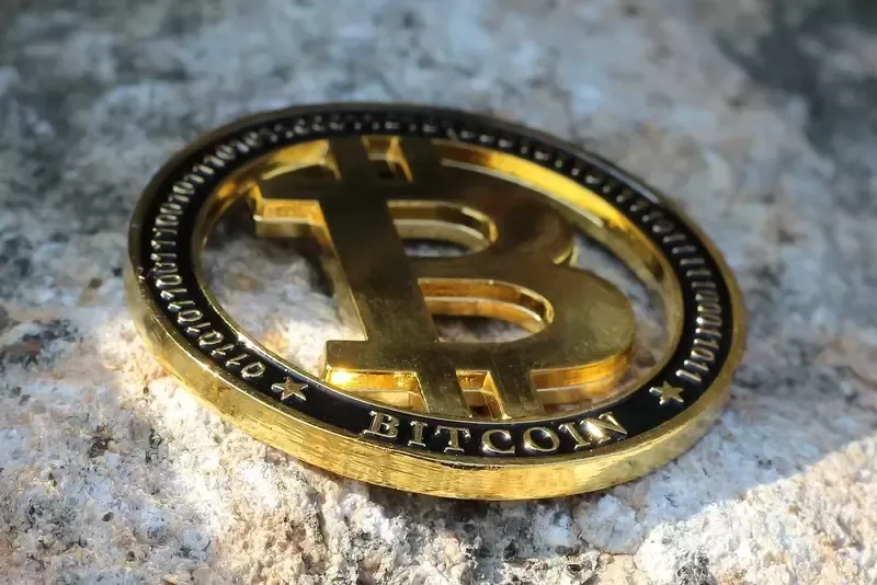 "204일 데드크로스·50% 되돌림"...비트코인(BTC), 바닥론 부활