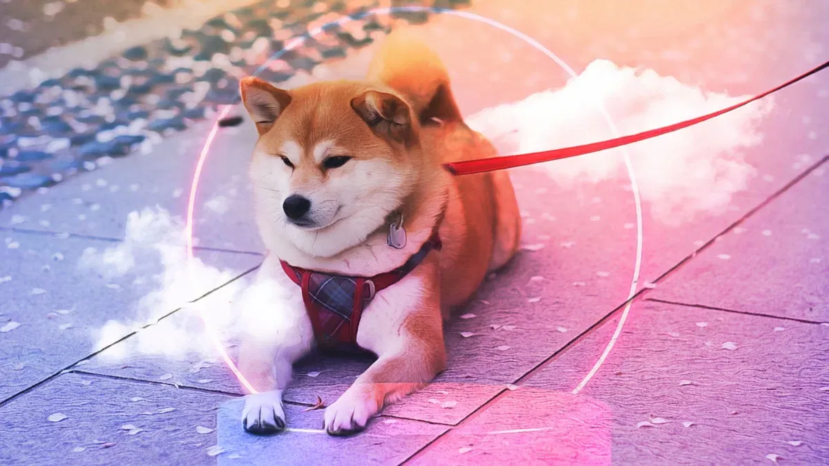 Shiba Inu’da Toparlanma Sinyalleri ve Büyük Yatırımcıların Etkisi
