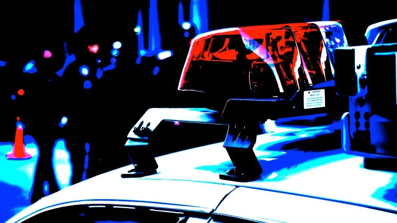 Two Texas brothers admit to $8 million crypto robbery after holding family at gunpoint, face up to 20 years in prison