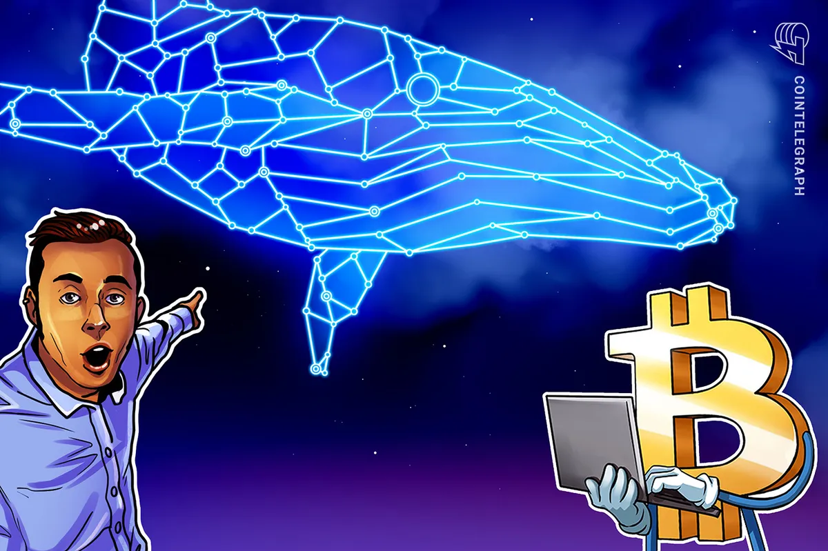 Novas baleias de Bitcoin ampliam o risco de vendas, enquanto os ganhos não realizados atingem US$ 9 bilhões