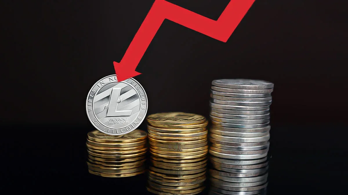 Litecoin 62 dolar seviyesinde tutunma cabasi gosteriyor