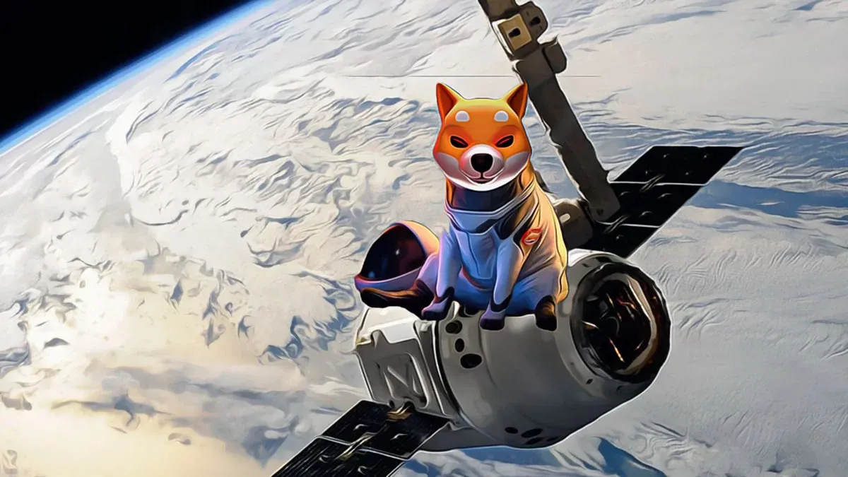 Shiba Inu’da Borsalardan Çekilme Hızı Arttı
