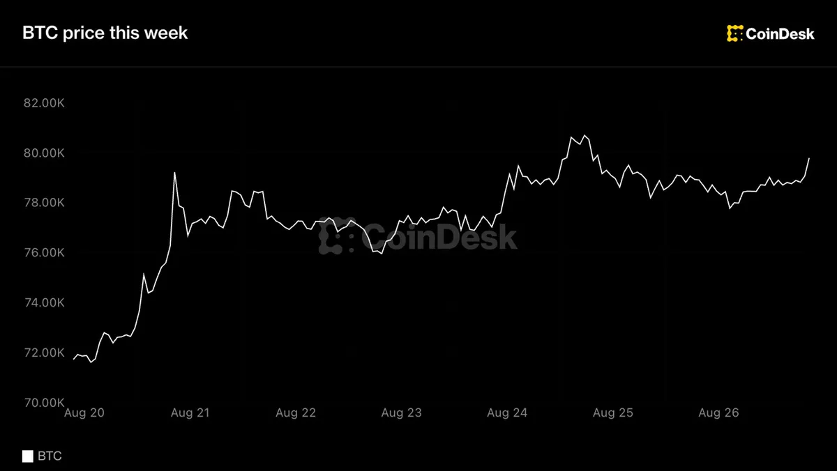 Bitcoin maintains position above $79,000 as ETF inflows extend streak to eight days