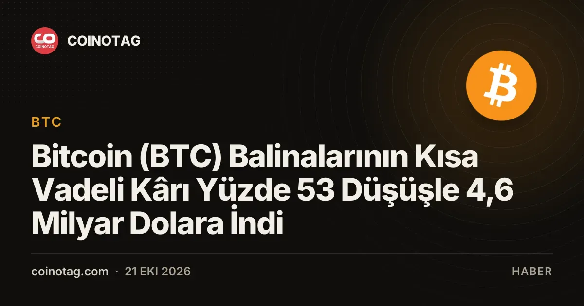 Bitcoin (BTC) Balinalarının Kısa Vadeli Kârı Yüzde 53 Düşüşle 4,6 Milyar Dolara İndi
