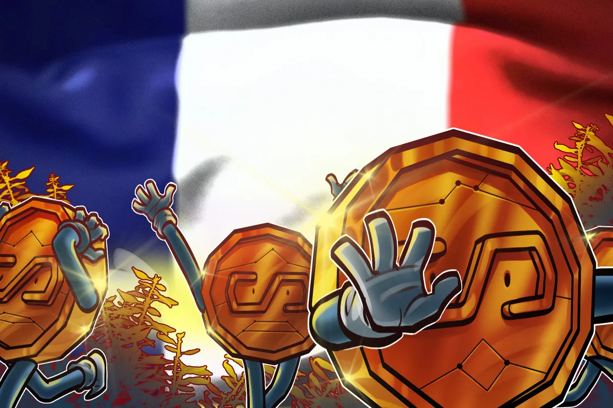 France's stablecoin tax adoption sparks broader regulatory debates
