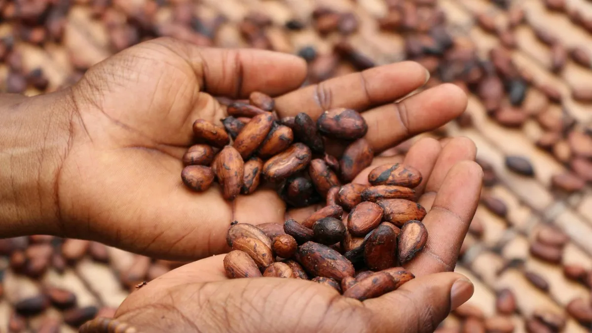 PwC, Merck, and Hashgraph aim for supply chain revolution starting with cocoa