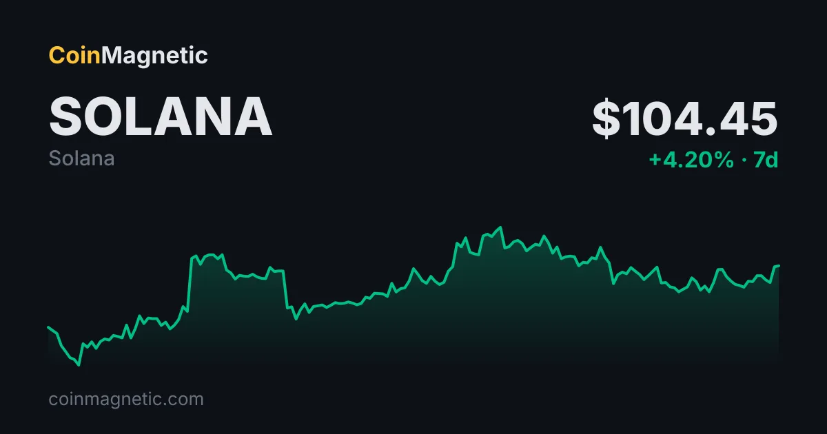 Solana memecoin coşkusunda sadece yüzde 0,25 tüccar 500 doları geçti