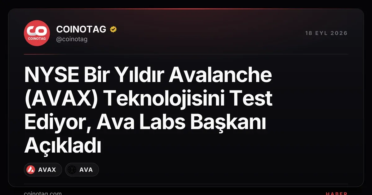 NYSE Bir Yıldır Avalanche (AVAX) Teknolojisini Test Ediyor, Ava Labs Başkanı Açıkladı