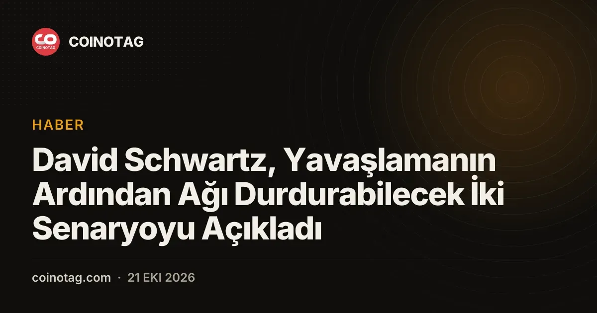 David Schwartz, Yavaşlamanın Ardından Ağı Durdurabilecek İki Senaryoyu Açıkladı