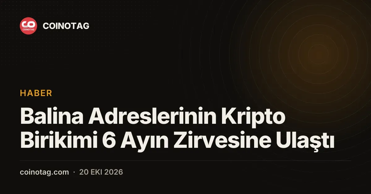 Balina cüzdanları altı aylık rekor birikimle varlıklarını artırdı