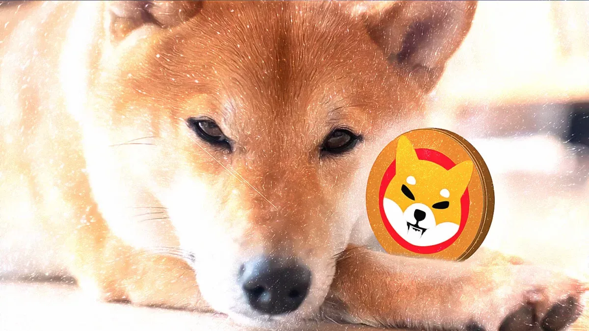 Shiba Inu'da borsa akışlarındaki hareketlilik fiyat düşüşünü durdurmuyor