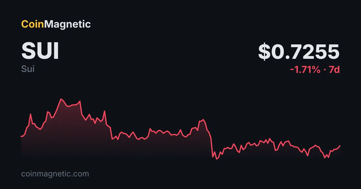 Sui (SUI) protokolü, 91 bin dolarlık oracle sızıntısından sonra kapandı