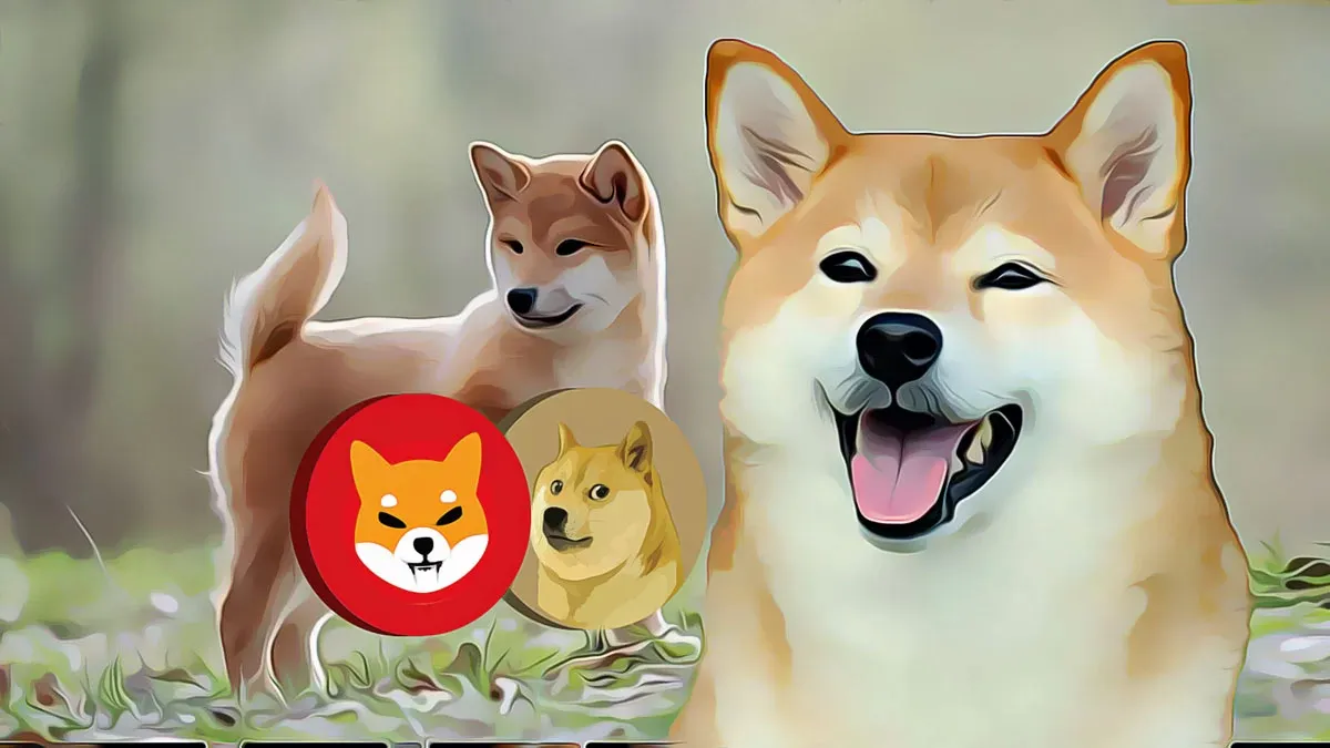 Dogecoin 0,081 dolarda destek buldu, işlem hacmi 3,71 milyon dolar