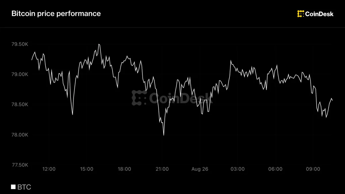 Bitcoin retreats to $79,000 after 23% surge amid steady ETF demand