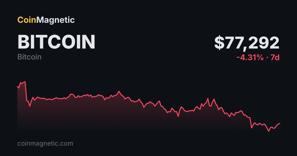 Dan Ives, Bitcoin 76.800 dolarda iken kurumsal parayı yazılıma yönlendirmeyi öneriyor