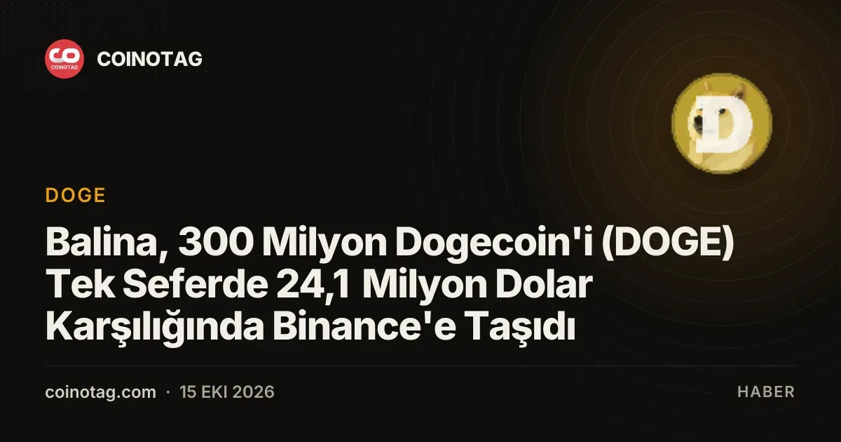 Balina, 300 Milyon Dogecoin'i (DOGE) Tek Seferde 24,1 Milyon Dolar Karşılığında Binance'e Taşıdı