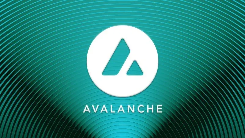 Avalanche Treasury shares fall 38% on Nasdaq debut after $675 million merger