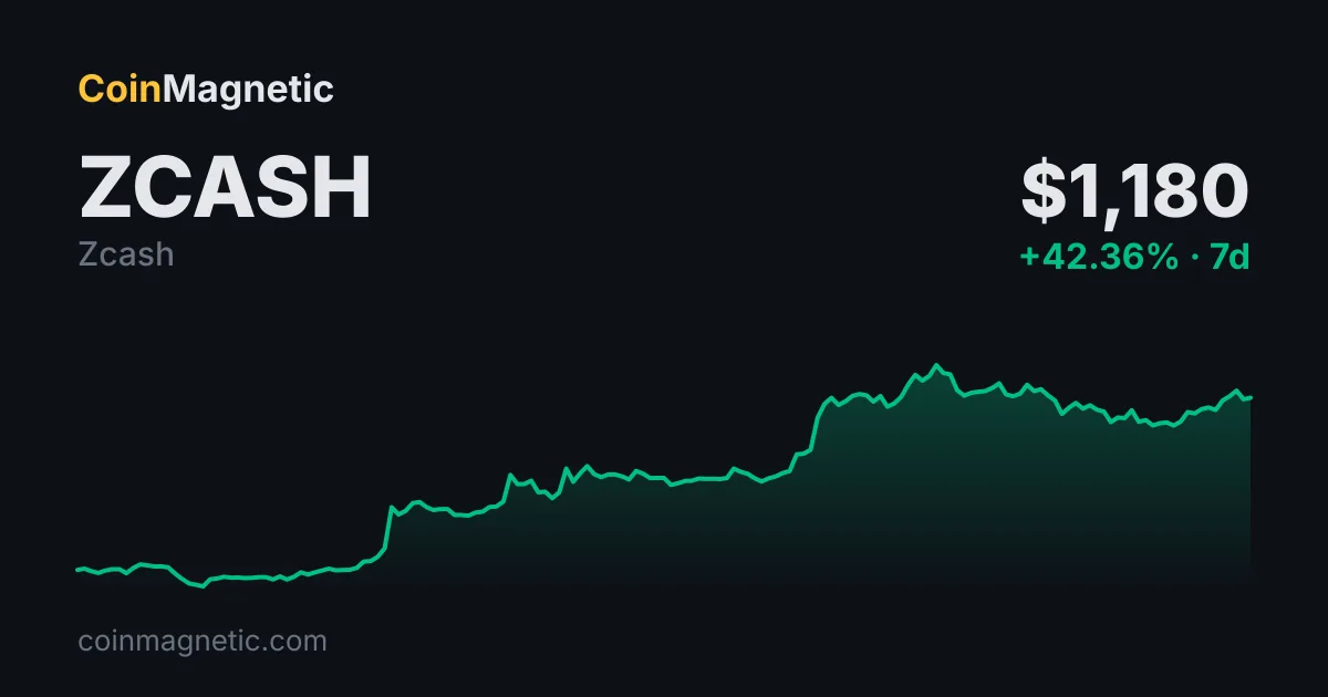 Cypherpunk Holdings, Robinhood Blockchain'deki Yetkisiz Zcash (ZEC) Tokenini Dışladı