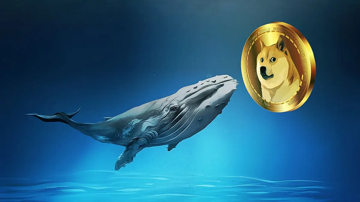 Elon Musk'ın 'lol' yanıtı, Dogecoin'e yatırımcı ilgisini artırdı