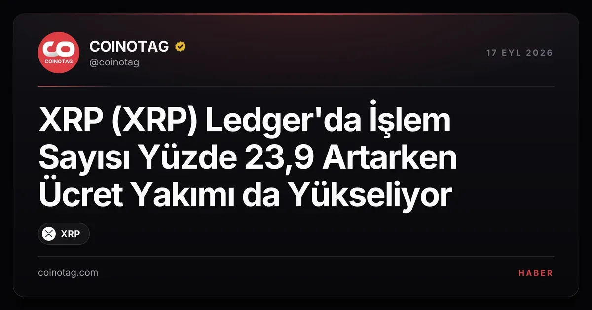 XRP Ledger'da işlem sayısı 2,1 milyona yükselirken ücret yakımı arttı