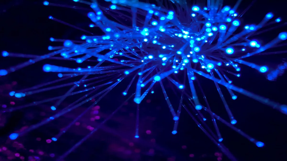 The future of crypto payments won't include on-ramps or bridges, Fun CEO says