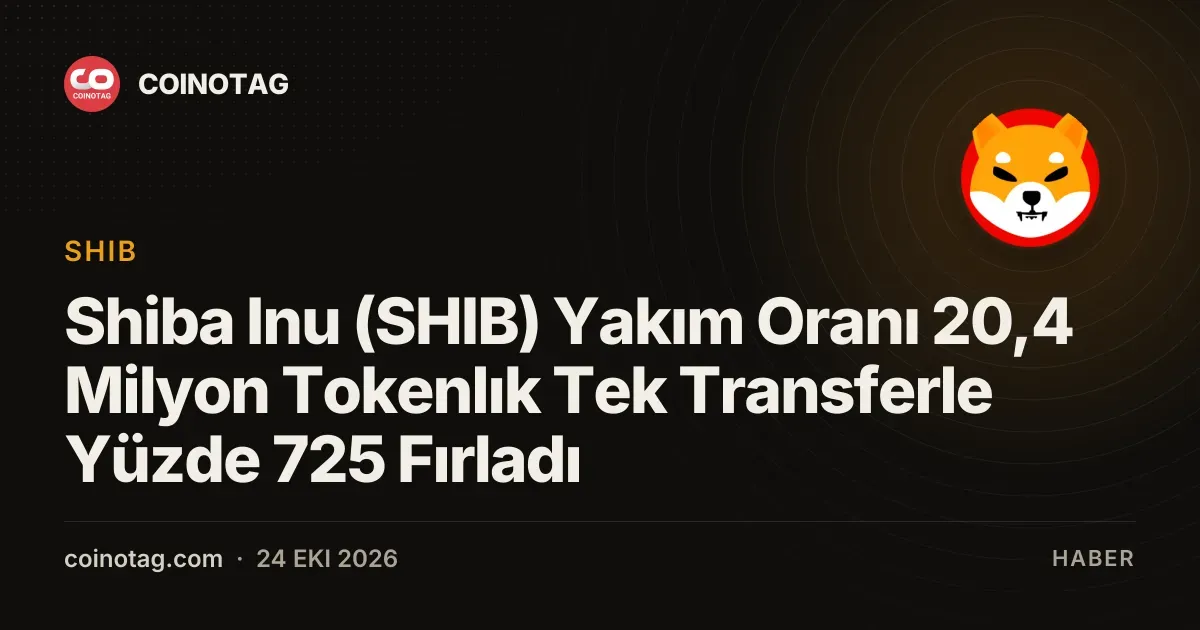 Tek bir transfer Shibainu yakim oranini yuzde 725 yukseltti