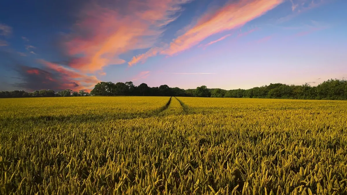 Arya.ag uses Avalanche tech for $2 billion in grain-backed loans onchain