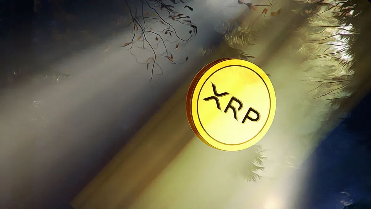 Spot XRP ETF'lerine 25 Eylül'de 22,65 milyon dolar net giriş gerçekleşti