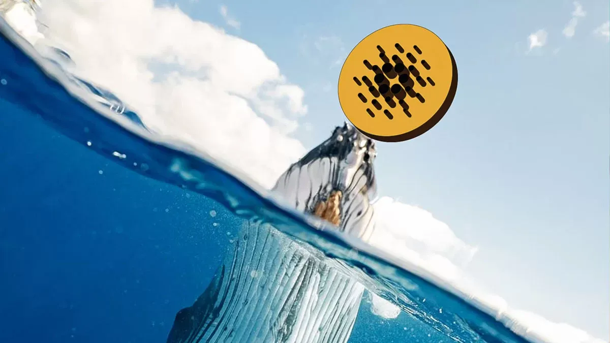 Cardano’nun Teknik Analizinde Ölüm Kesişimi Olabilir