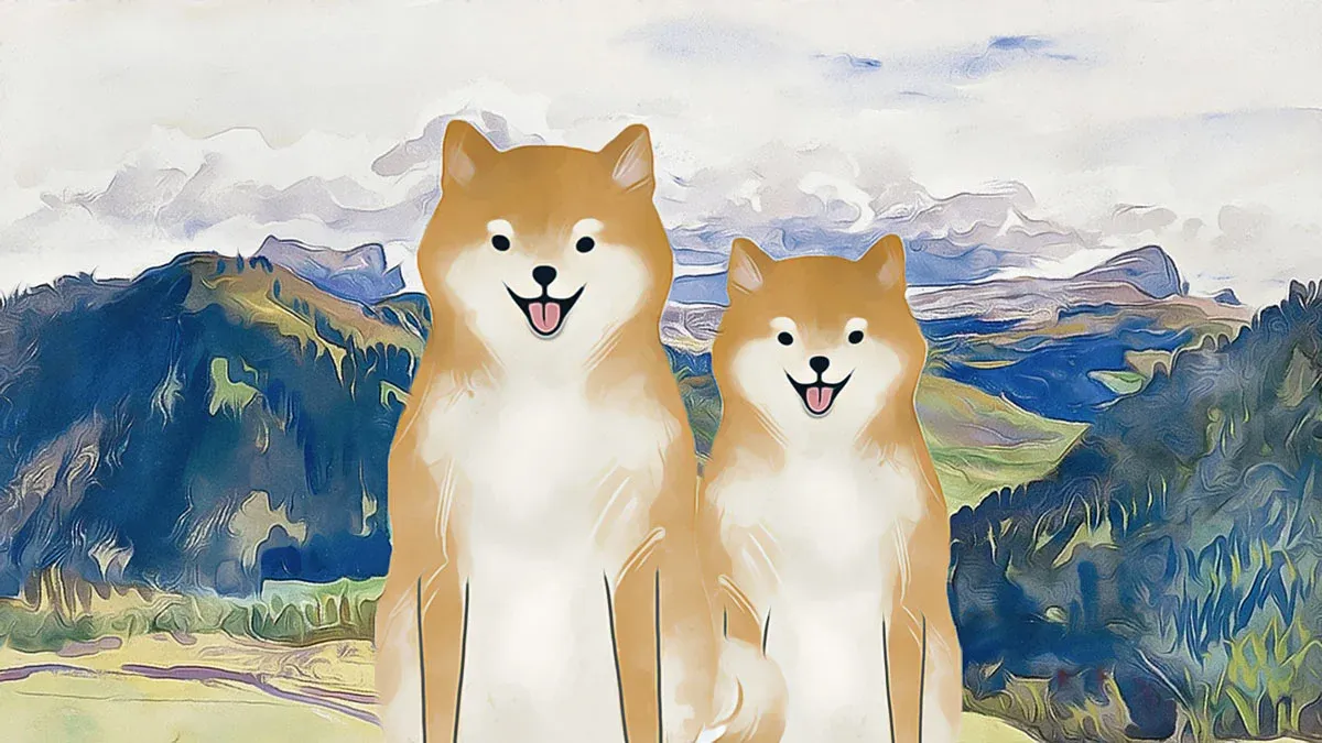 Dogecoin ETF çıkışları ağustos zirvesini gördü