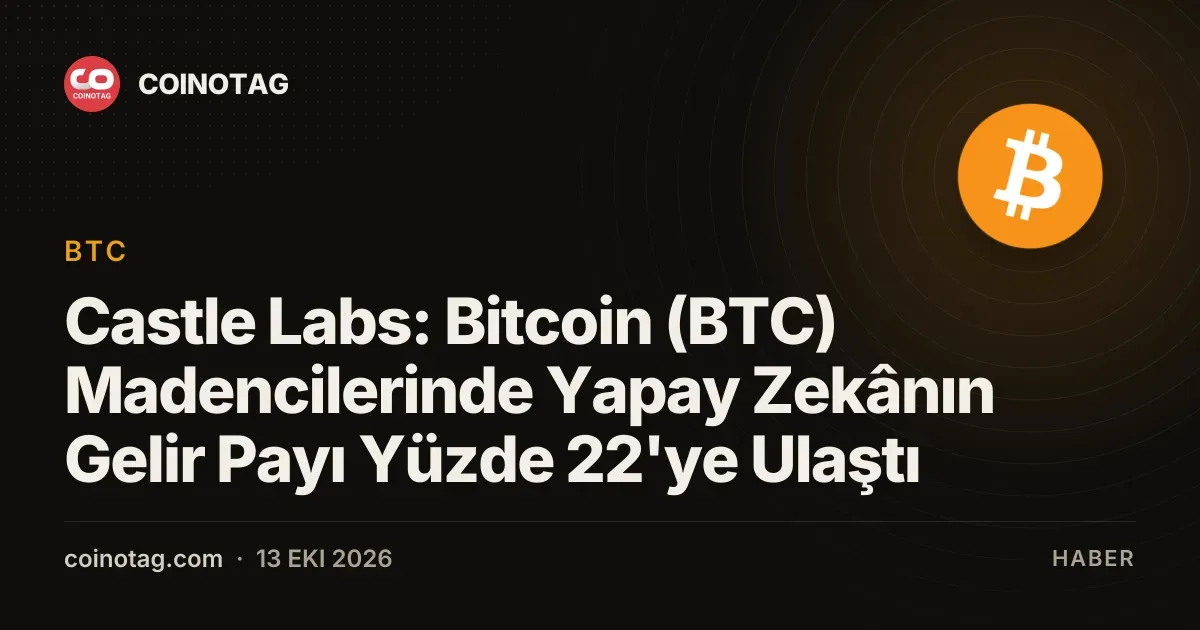 Castle Labs raporu, Bitcoin madencilerinde yapay zeka payının yüzde 22'ye çıktığını gösterdi