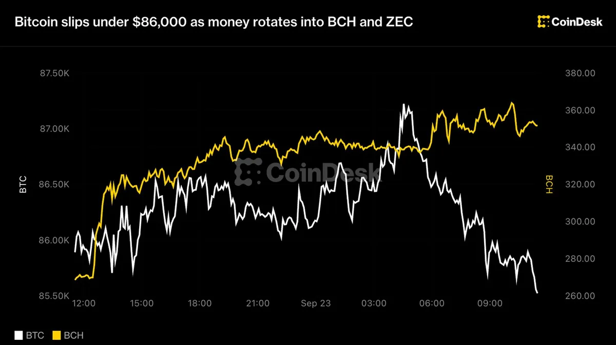 Bitcoin dips below $86,000 as funds shift towards BCH and ZEC