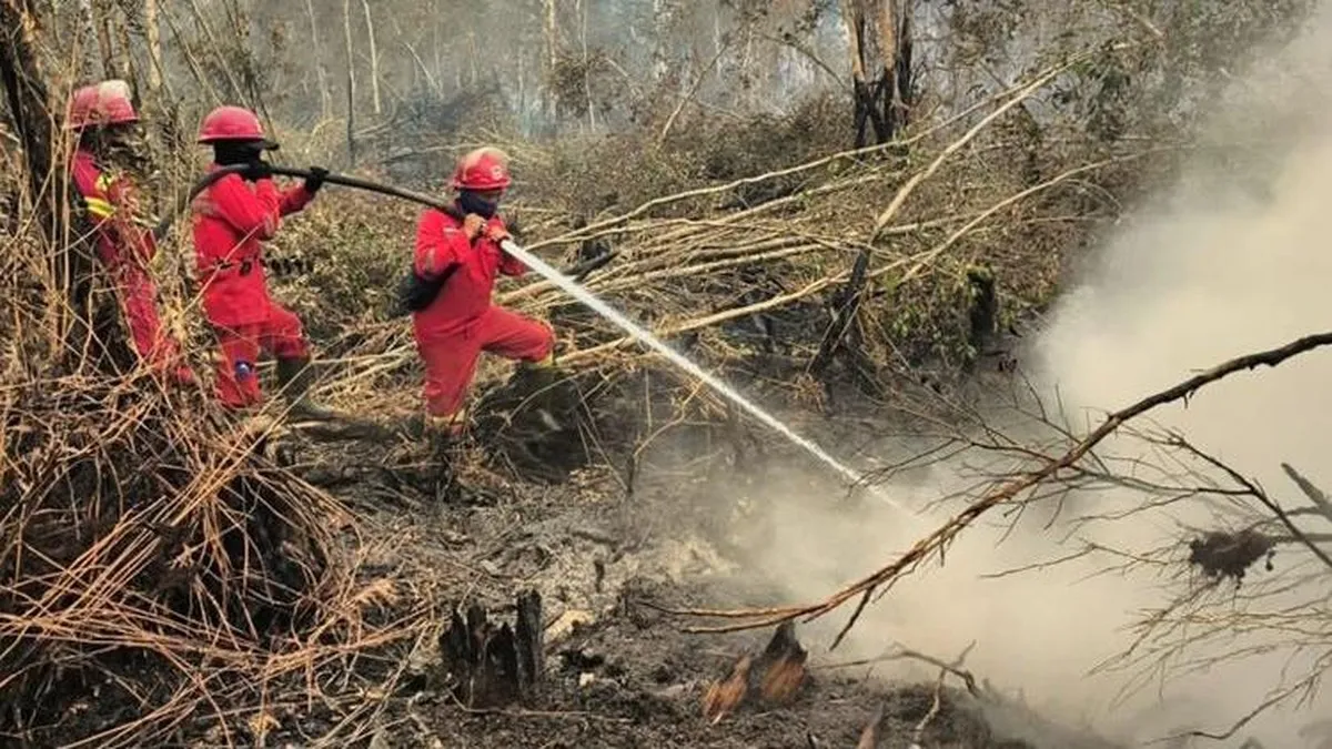 PT Paramitra Mulia Langgeng terseret isu karhutla di Indonesia menurut Singapura
