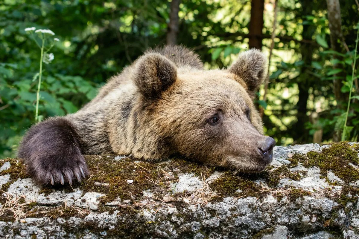 Crypto bears got it wrong again, losing $300 million in liquidations