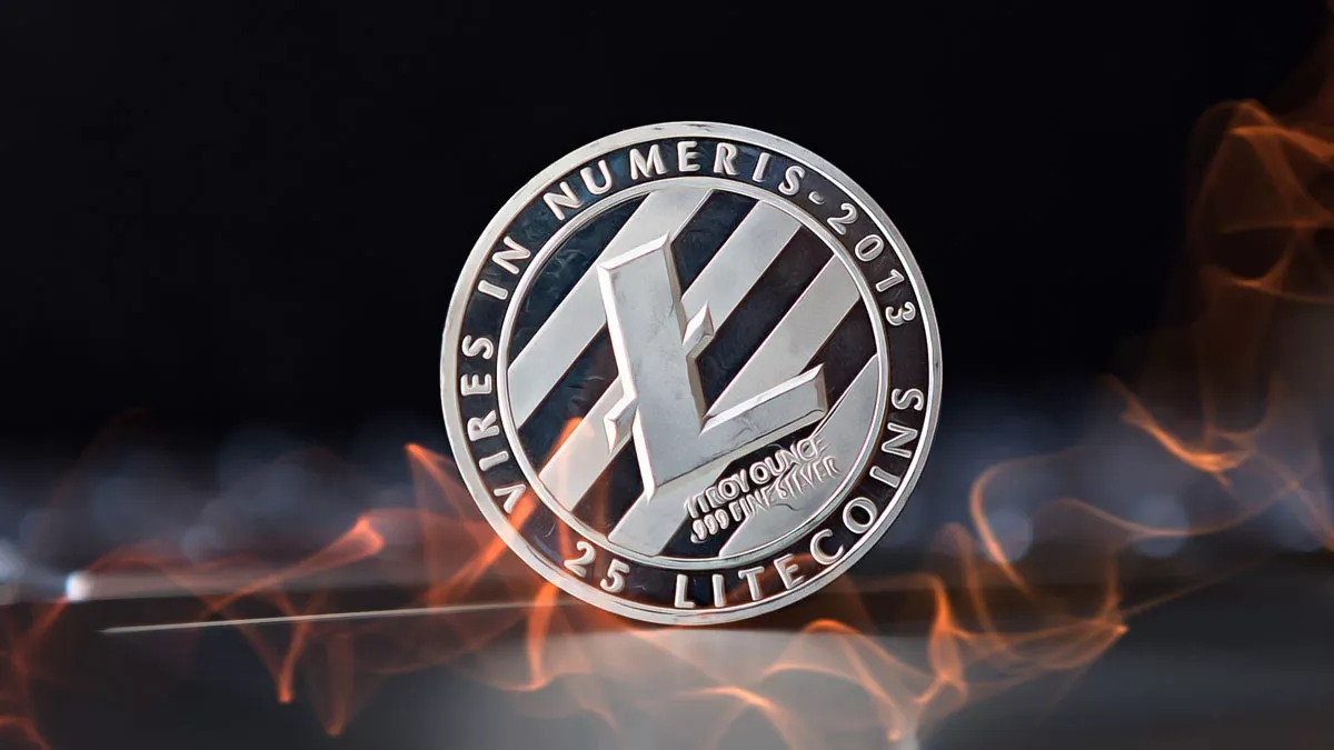 Litecoin Fiyat Hareketleri ve Ekosistem Yatırımları