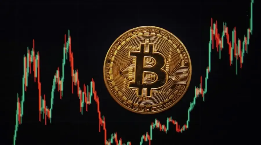 Аналитики Charles Schwab оценили волатильность биткоина за пять лет