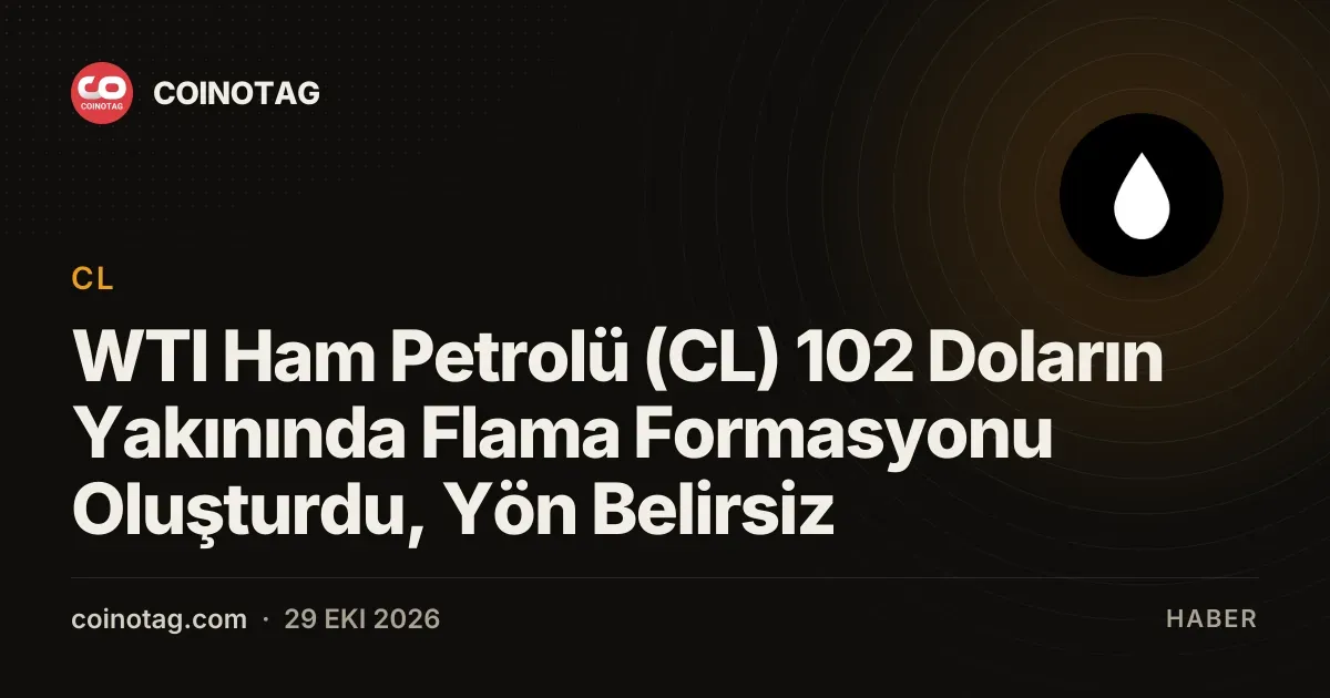 WTI ham petrolü 102 dolar sınırında flama formasyonu çiziyor