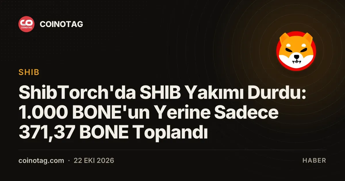 ShibTorch'da SHIB Yakımı Durdu: 1.000 BONE'un Yerine Sadece 371,37 BONE Toplandı
