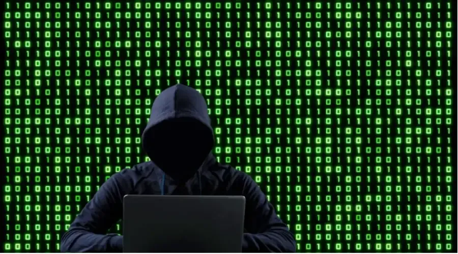 Фишеры начали маскироваться под налоговиков ради кражи сид-фраз