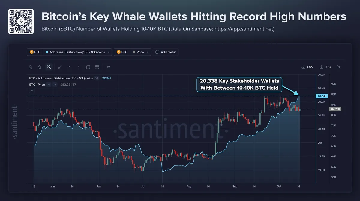 Santiment catat jumlah wallet bitcoin dengan 10 hingga 10.000 BTC capai rekor 20.338