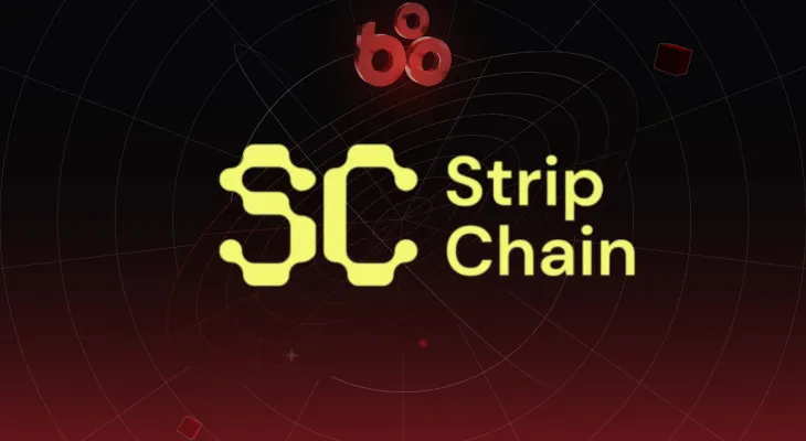 StripChain là gì? Hạ tầng tương tác đa chuỗi dựa trên intent