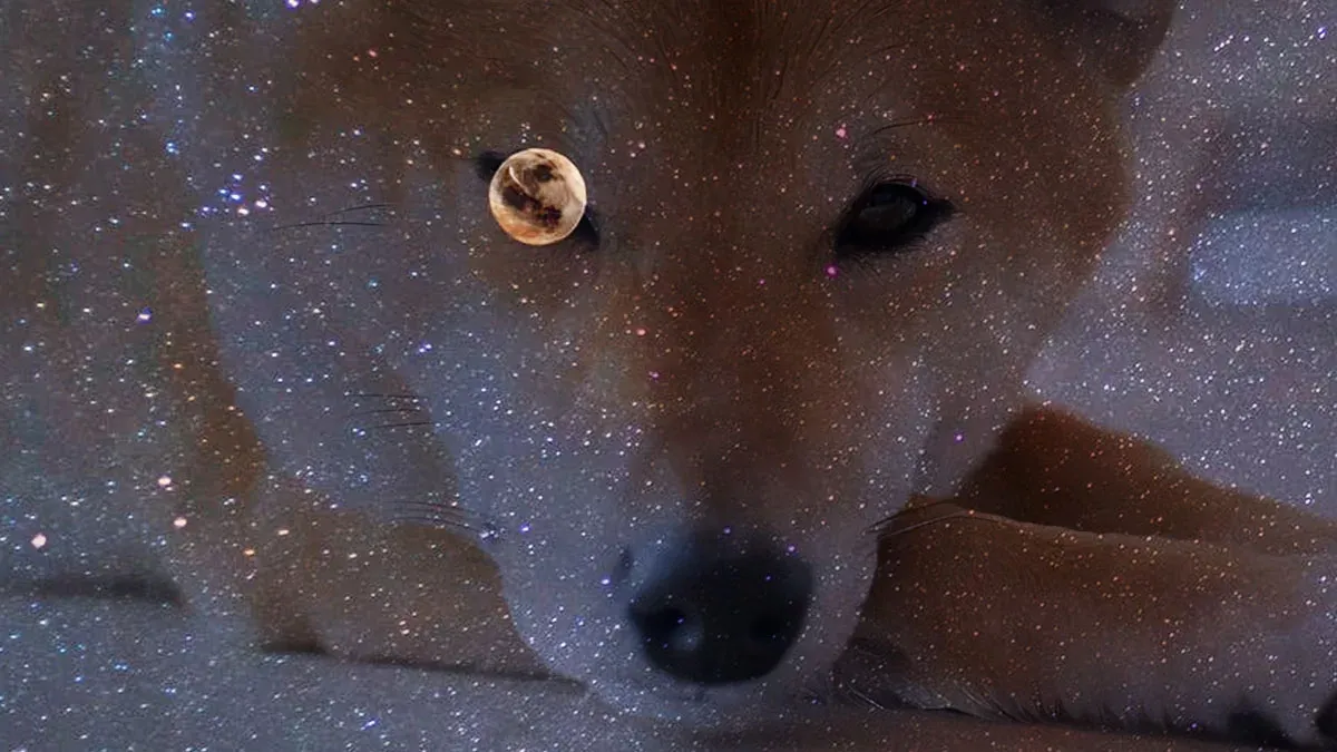 Shiba Inu Topluluğundan Güvenlik Uyarısı: Eski Alan Adlarına Dikkat!