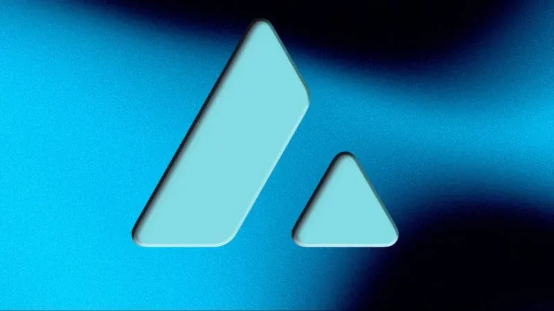 AVAX One launches CEO search after leader of its Avalanche treasury pivot steps down