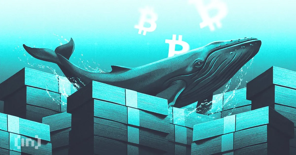 Панические продажи биткоина закончились: киты скупили BTC у дна