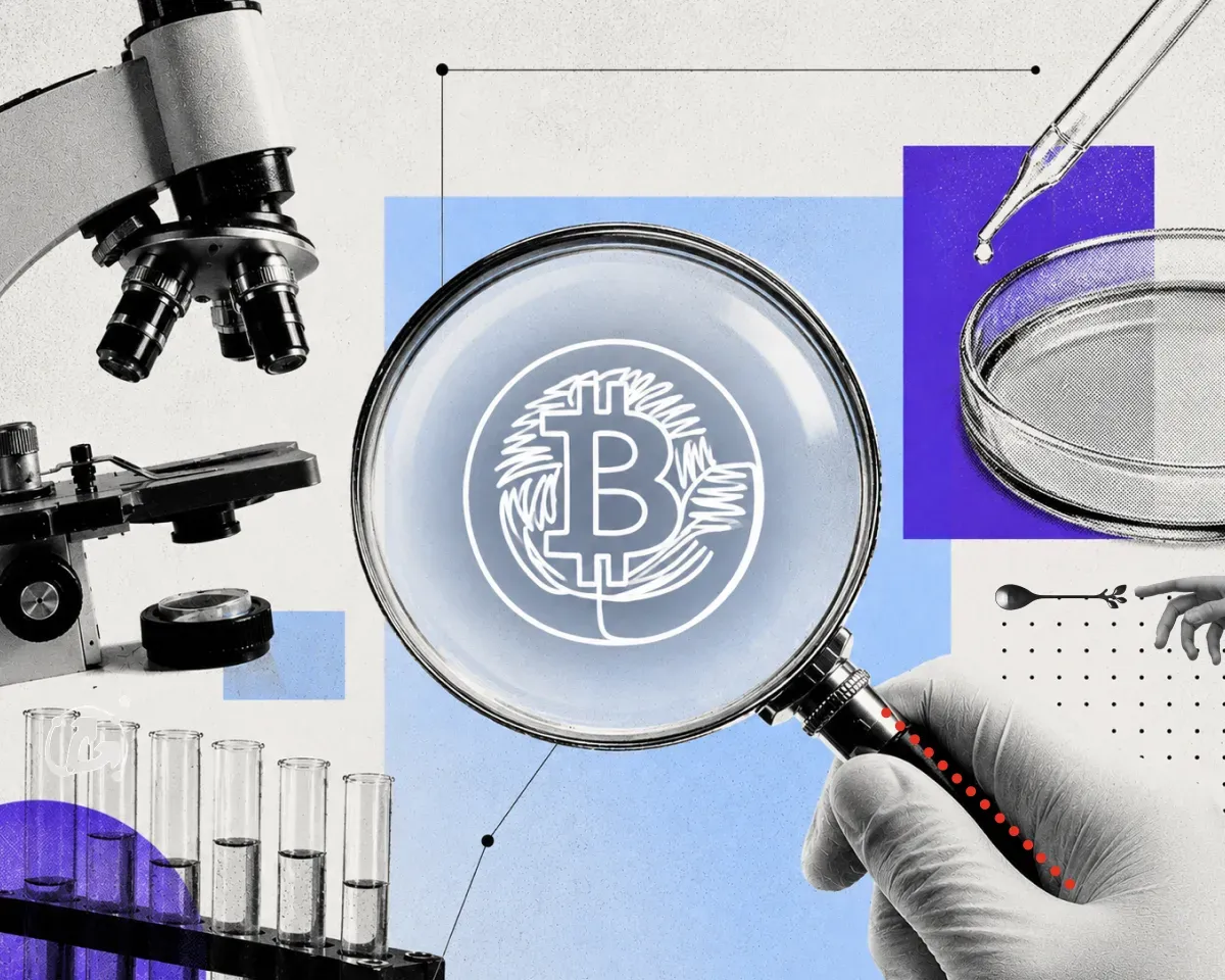 Биткоин-транзакция: как ее прочитать и отследить